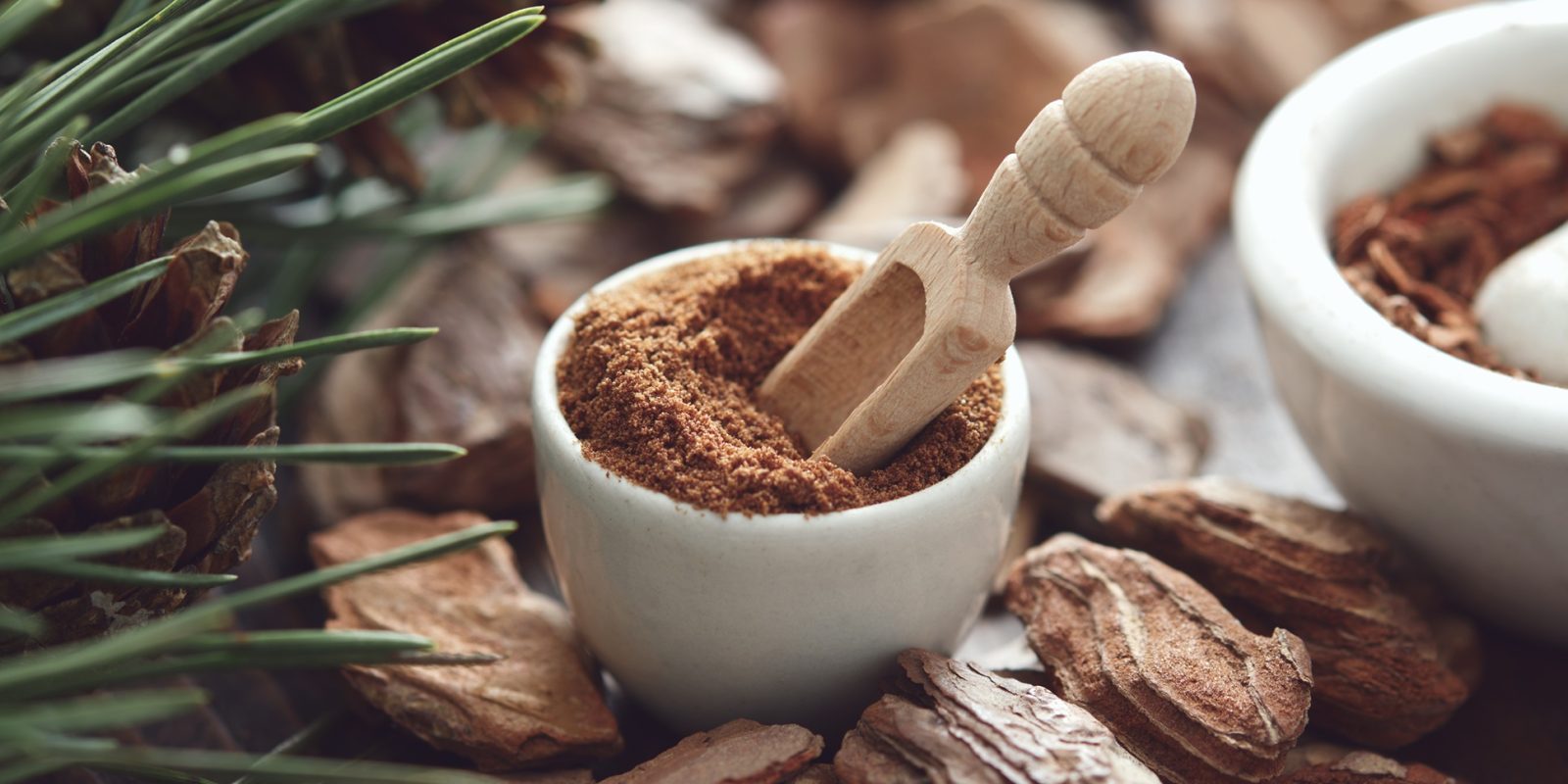 Pine Bark Cardiometabolic Health
