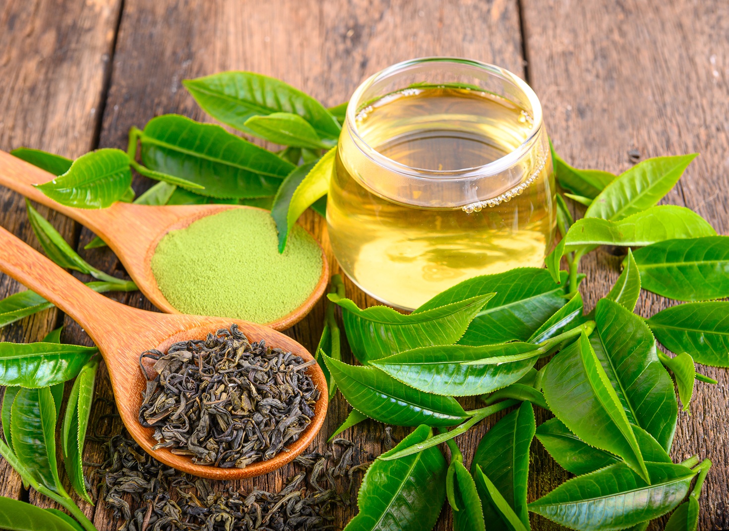 Green tea, senna and rhubarb: High cholesterol levels