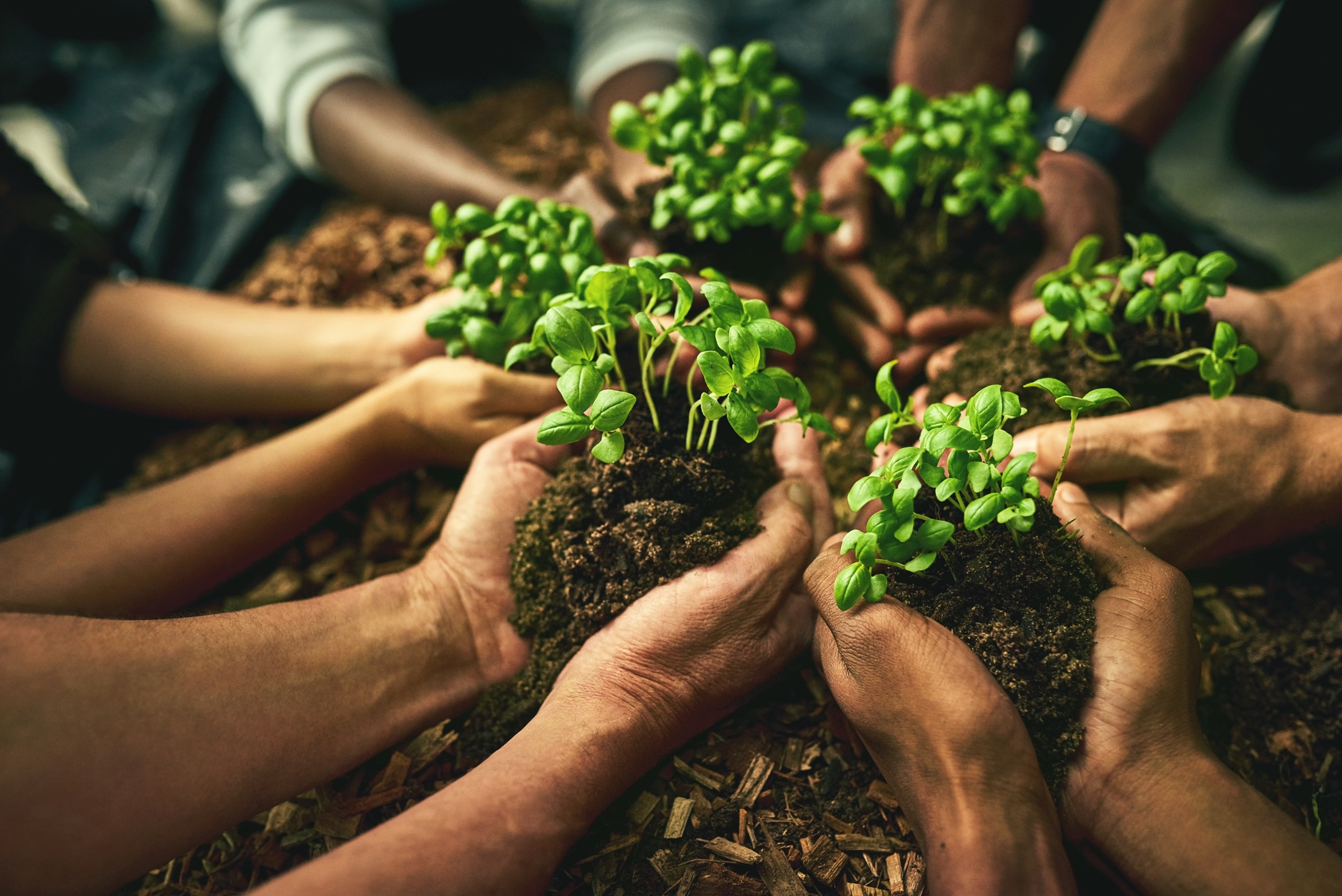 HHRN hybrid heritage remedies workshop