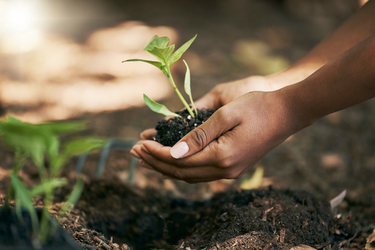 The Sustainable Herbs Initiative Impact