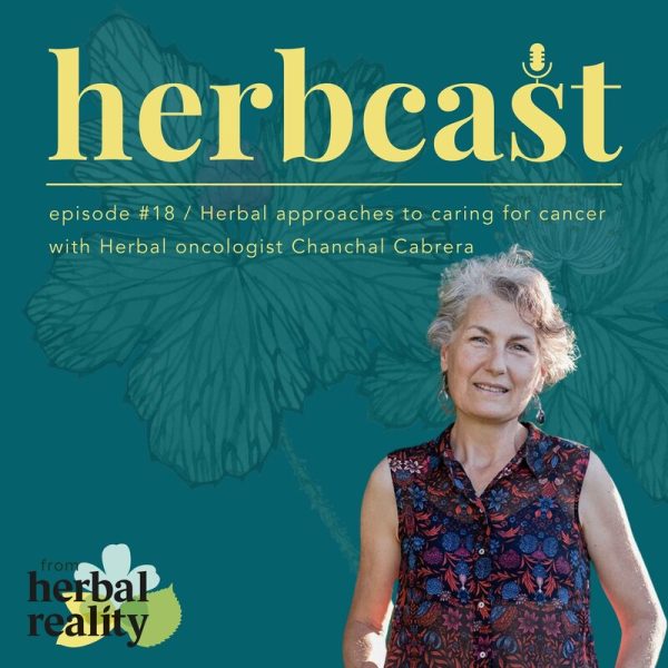 Herbal Medicine And Cancer