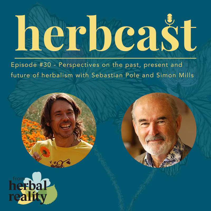 The Future Of Herbal Medicine Why Herbs Deserve A Bigger Role In Mainstream Healthcare With Seb And Simon