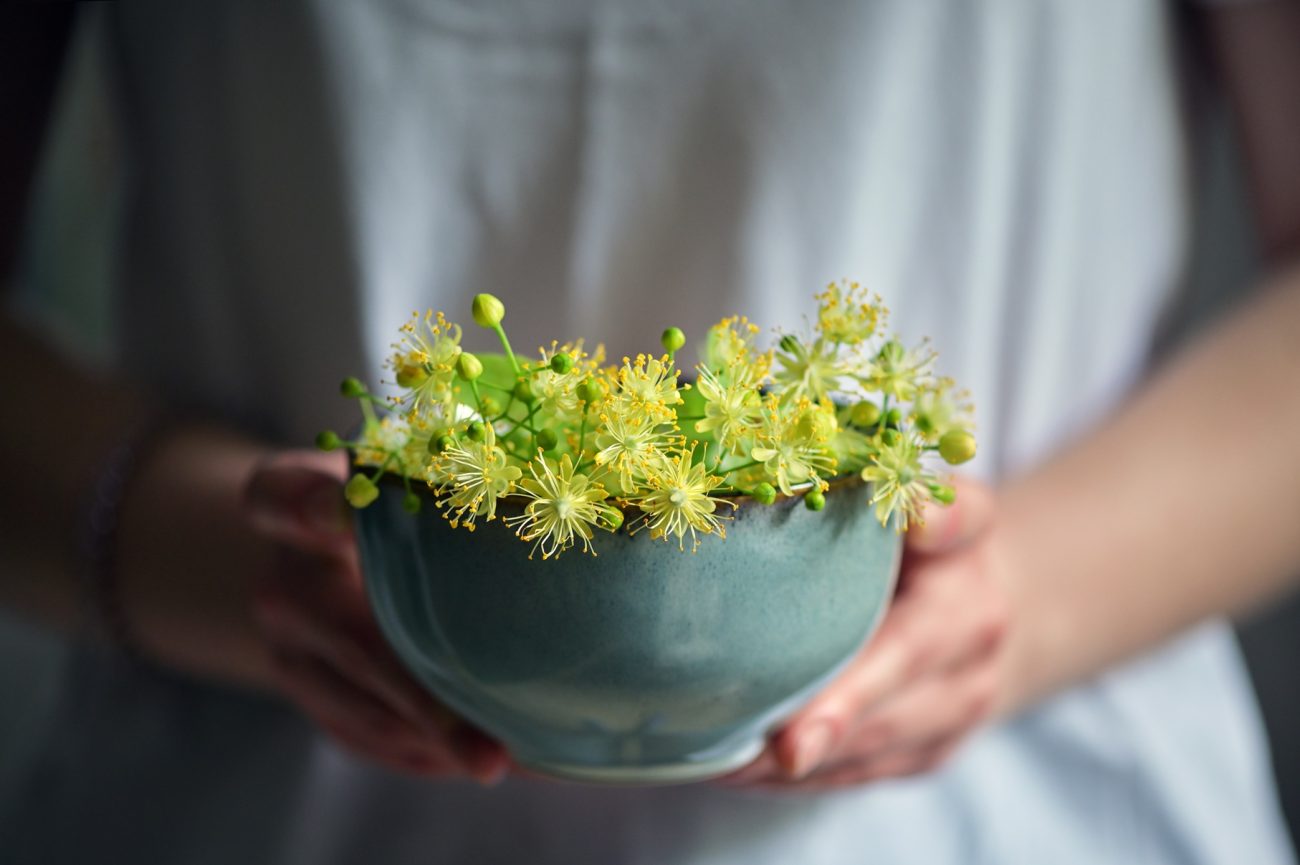 Regulatory Framework For Herbal Practitioners