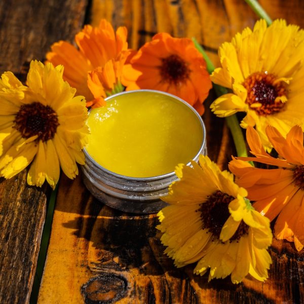 Herbal First Aid Balm Recipe