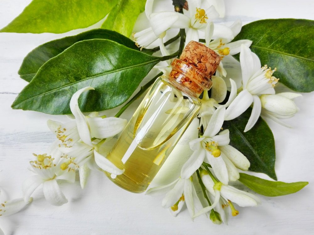 Bitter orange neroli (Citrus aurantium)