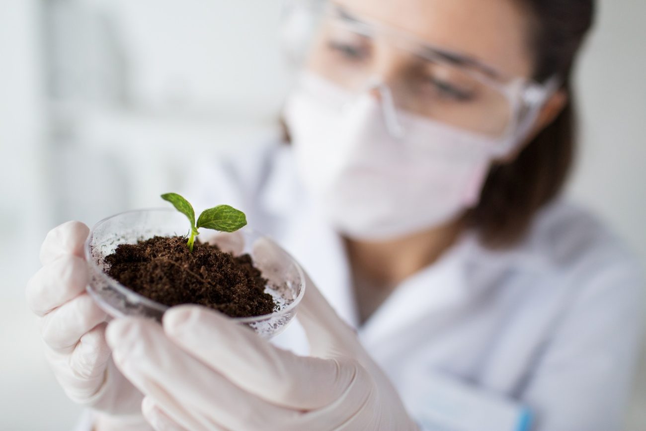 Contaminants In Herbal Supply Chains Challenges And Solutions