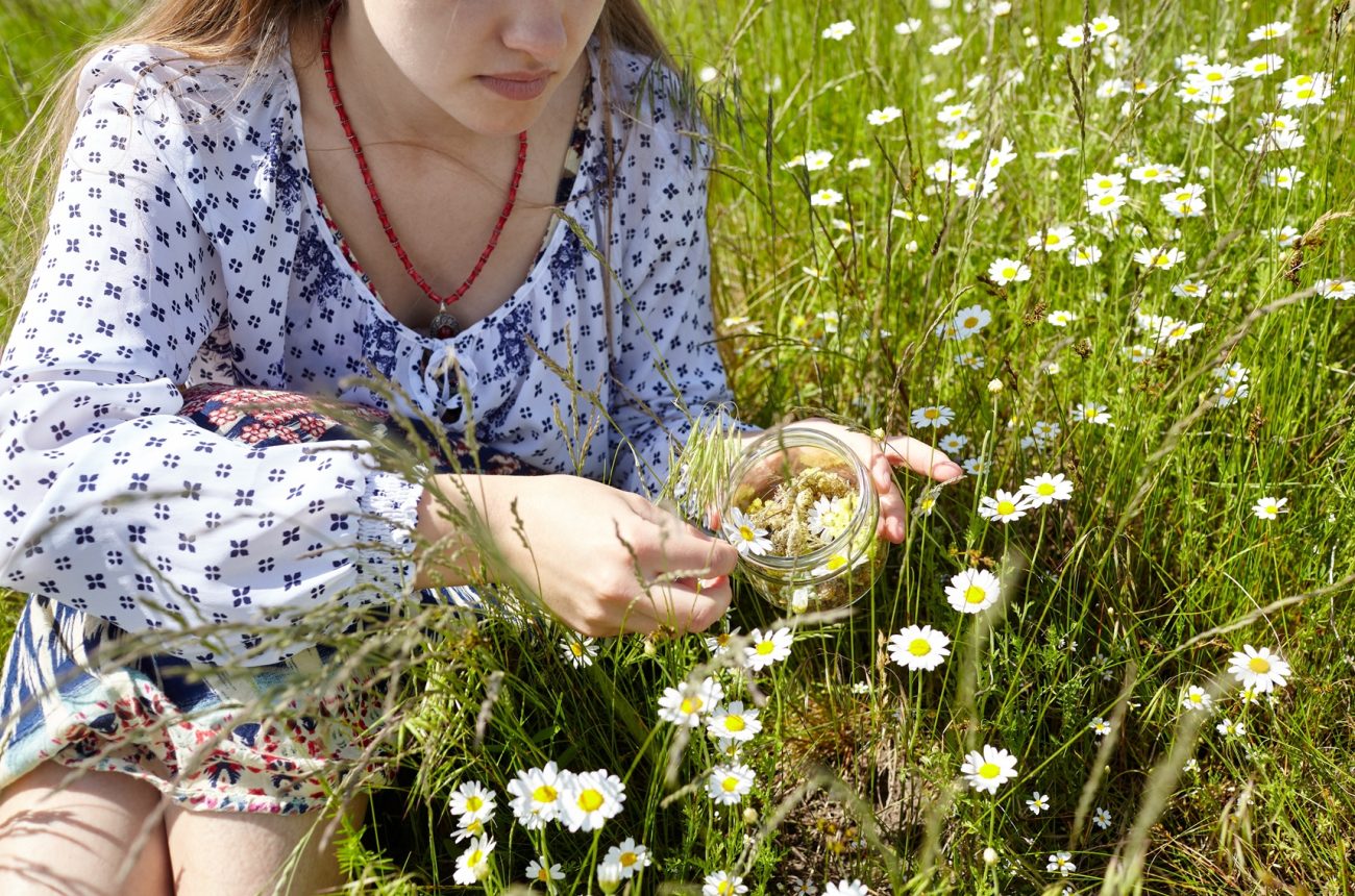 Herbal Medicine Contaminants