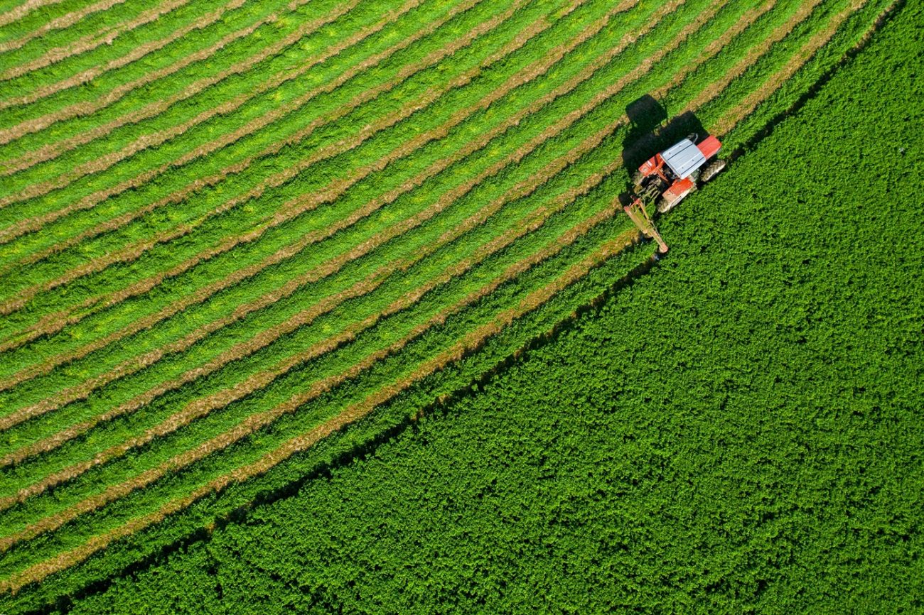 Contaminants In Agriculture