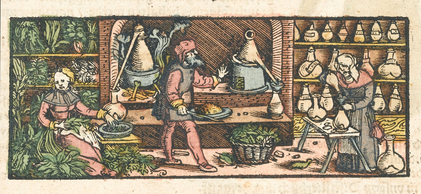 A milestone for the Herbal History Research Network