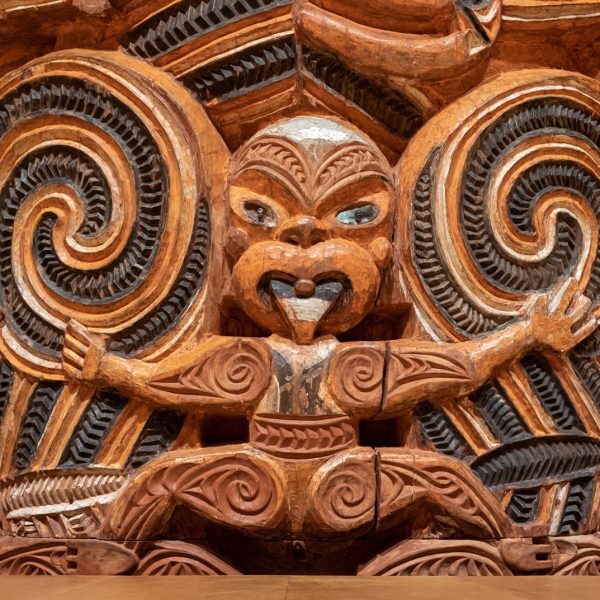 New Zealands Practitioners Plants And Policy Herbalism In Aotearoa
