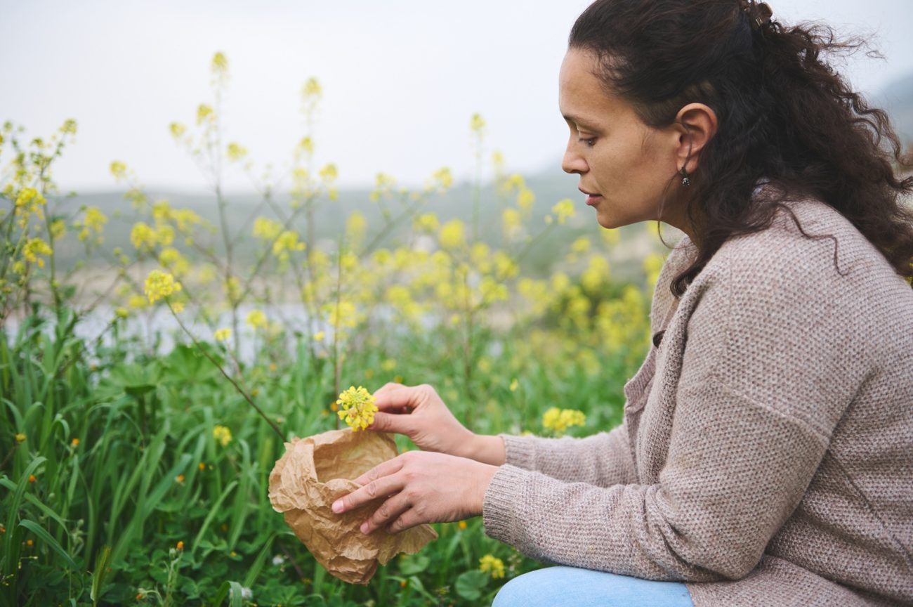 Herbalists In New Zealand