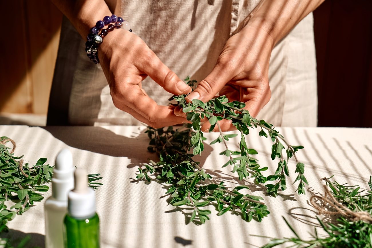 Italian Herbal Influence The Roman Roots Of British Herbalism