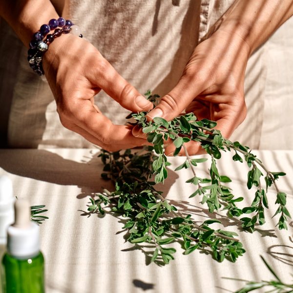 Italian Herbal Influence The Roman Roots Of British Herbalism