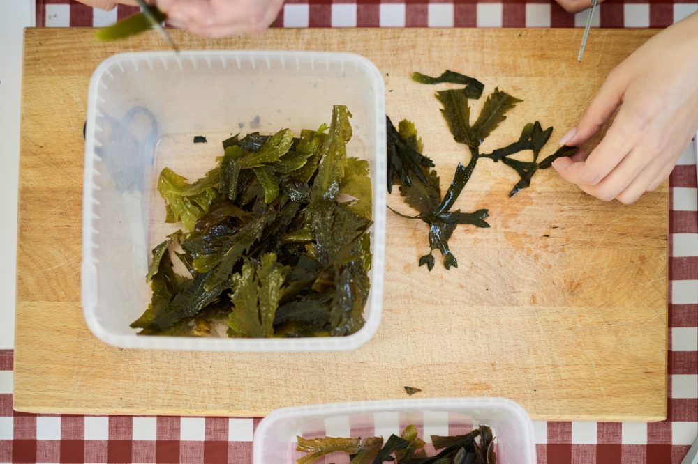 Bladderwrack (Fucus vesiculosus)