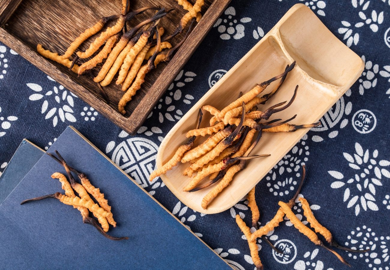 Fermented Cordyceps Improved Sleep Quality