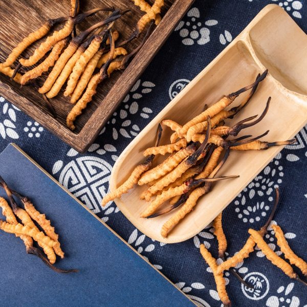 Fermented Cordyceps Improved Sleep Quality