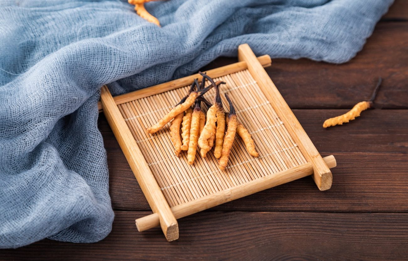 Cordyceps (Cordyceps sinensis)
