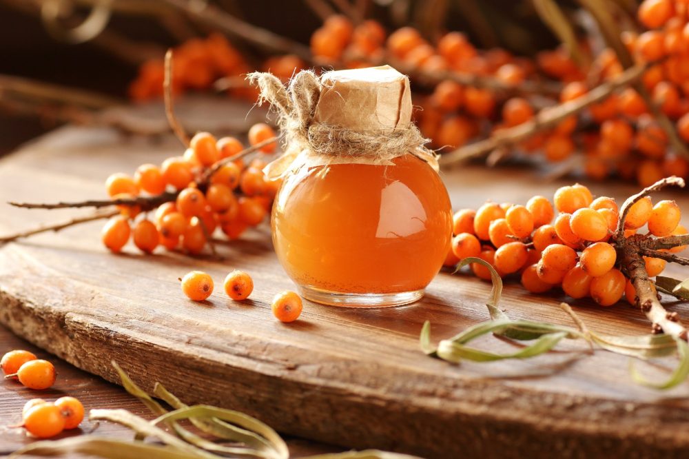 Sea buckthorn (Hippophae rhamnoides)