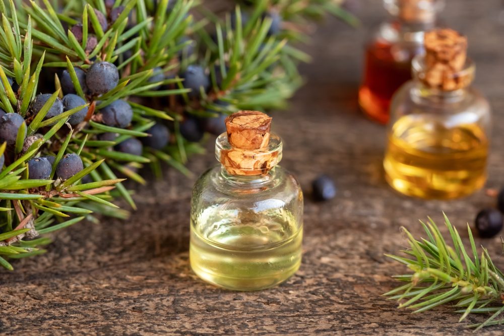 Juniper tincture (Juniperus communis)