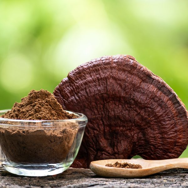 Medicinal Mushroom Tincture Dual Extraction Recipe