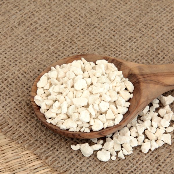 Fu Ling (Wolfiporia extensa)