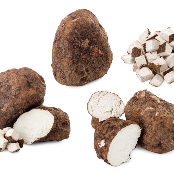 Fu Ling All Parts Wolfiporia Extensa