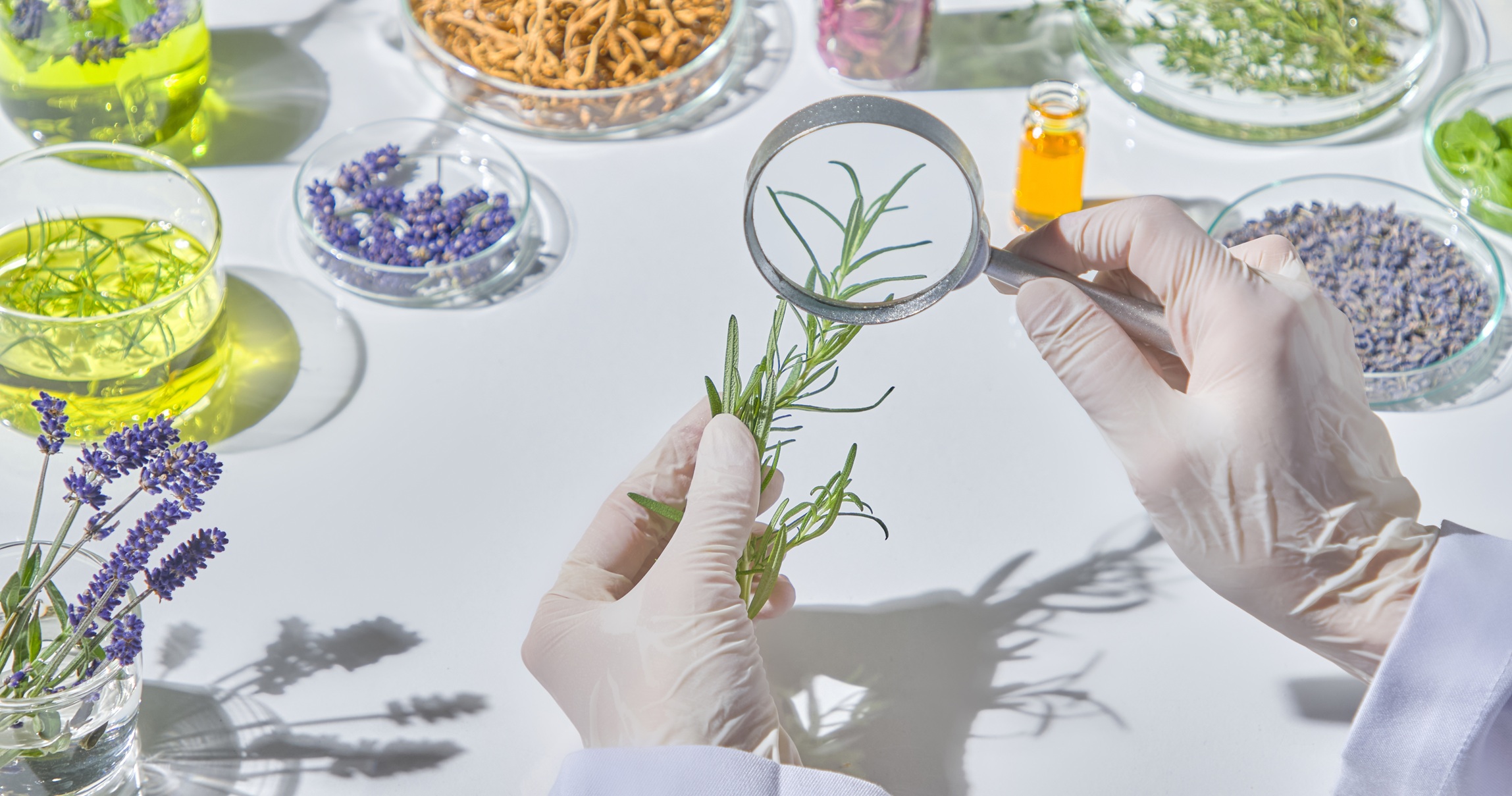 Global herbal research: Trends and techniques