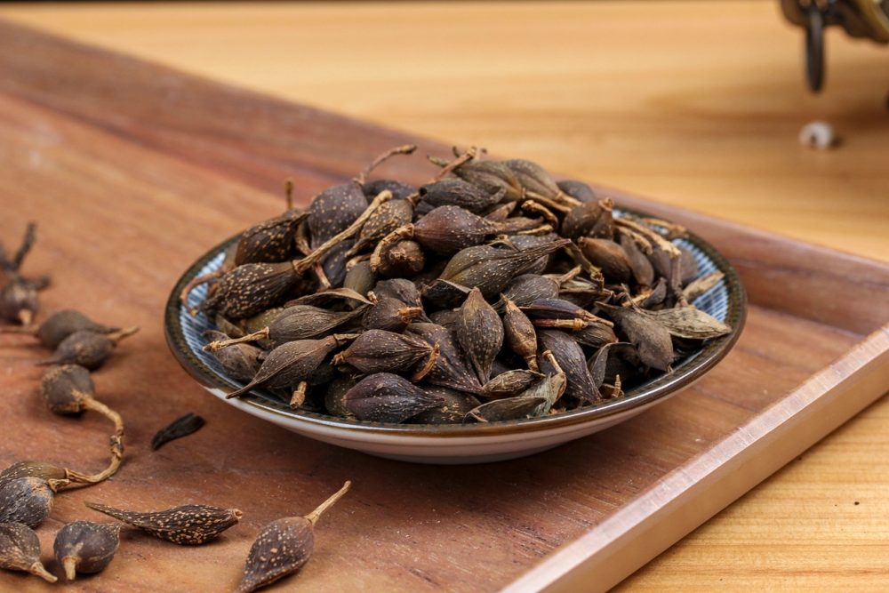 Forsythia fruit (Forsythia suspensa)