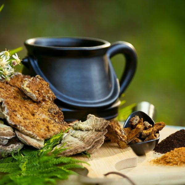 Medicinal Mushroom Chai Syrup A Warming Immune Stimulating Winter Drink