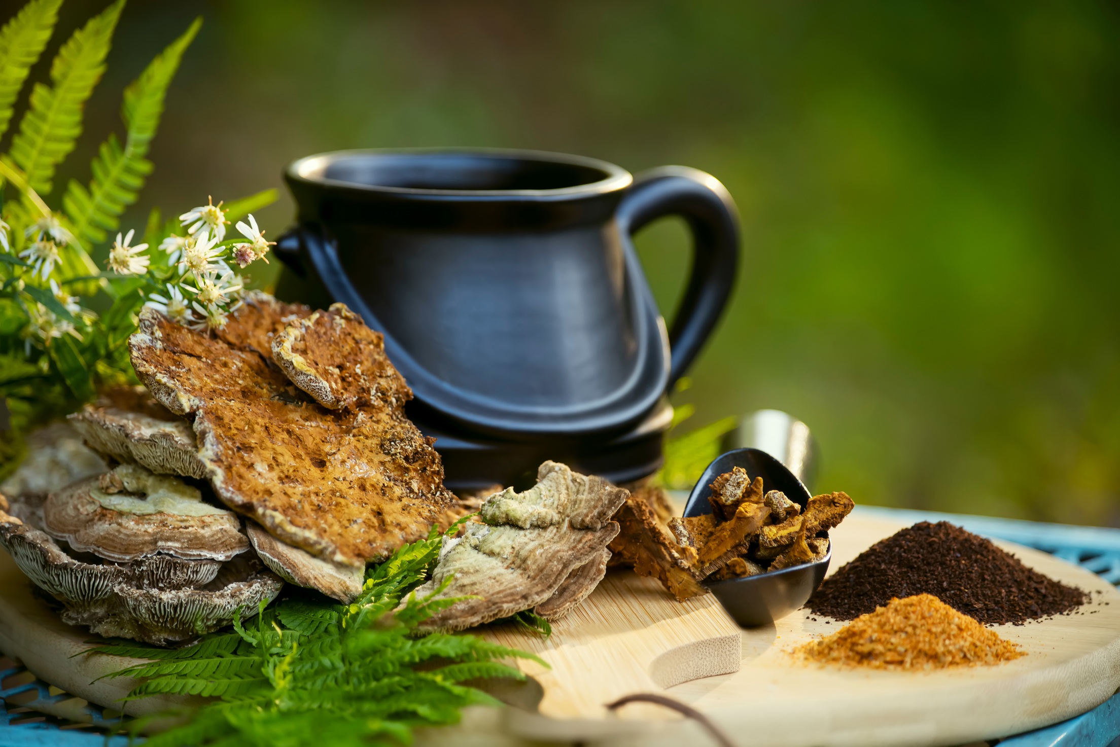 Medicinal mushroom chai syrup: A warming, immune-stimulating winter drink