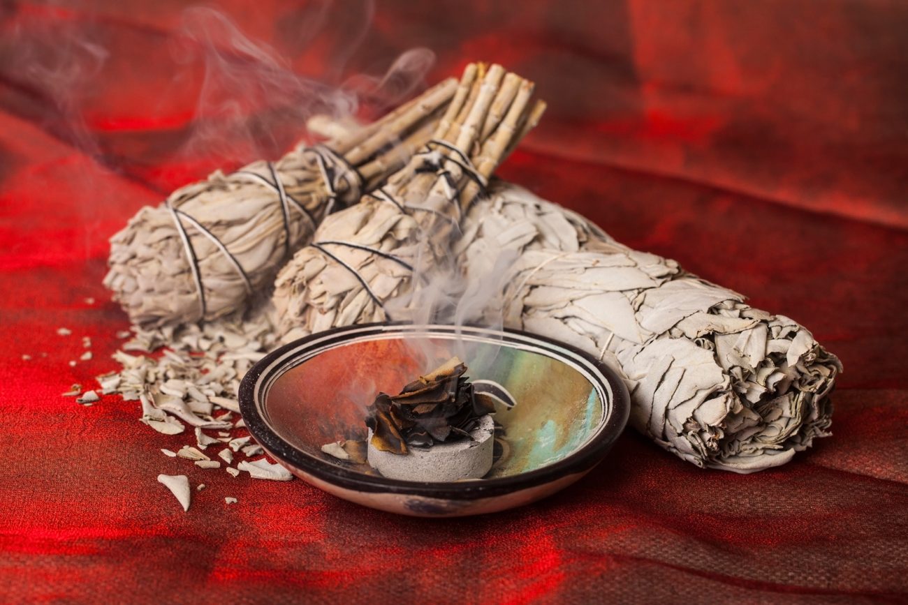 White sage (Salvia apiana)