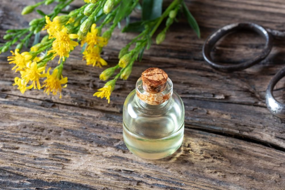 Goldenrod oil (Solidago virgaurea)
