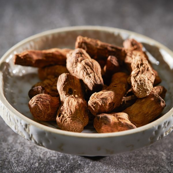 Solomon's seal root (Polygonatum spp.)