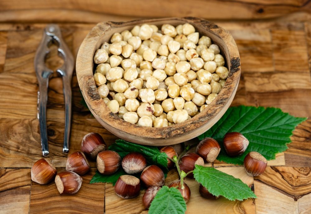 Hazelnuts (Corylus avellana)