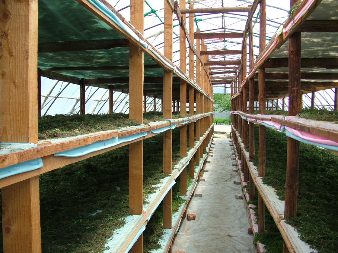 Solar dryer with racking to increase capacity — Bulgaria