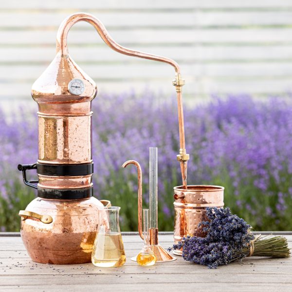 Making Sense Of Herbal Dosing How Much Is Enough