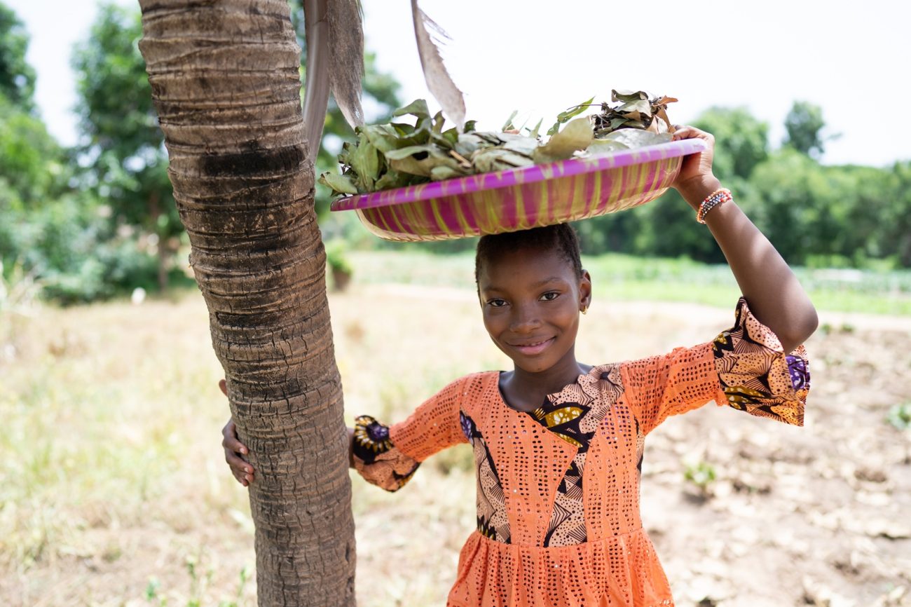 Traditional African Medicine Practices And Preparations Across Africa Today