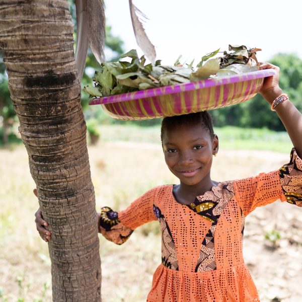 Traditional African Medicine Practices And Preparations Across Africa Today