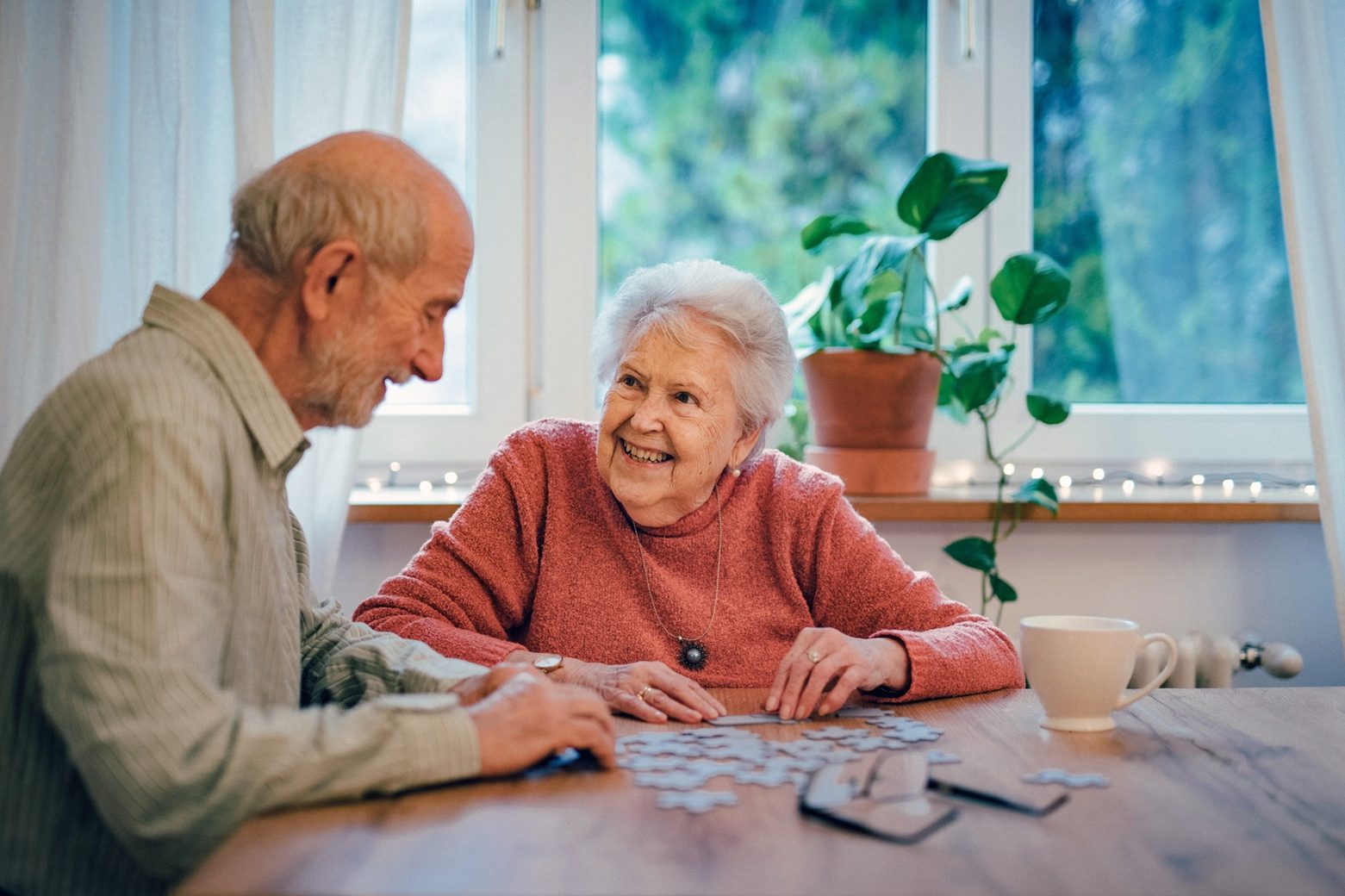 Alzheimers Disease