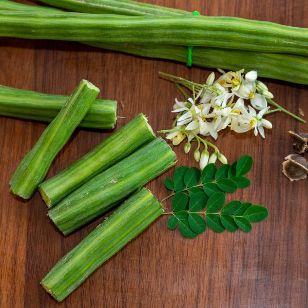 Moringa (Moringa oleifera)