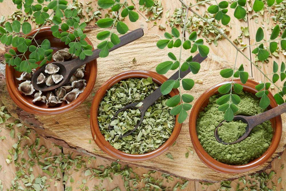 Moringa (Moringa oleifera)