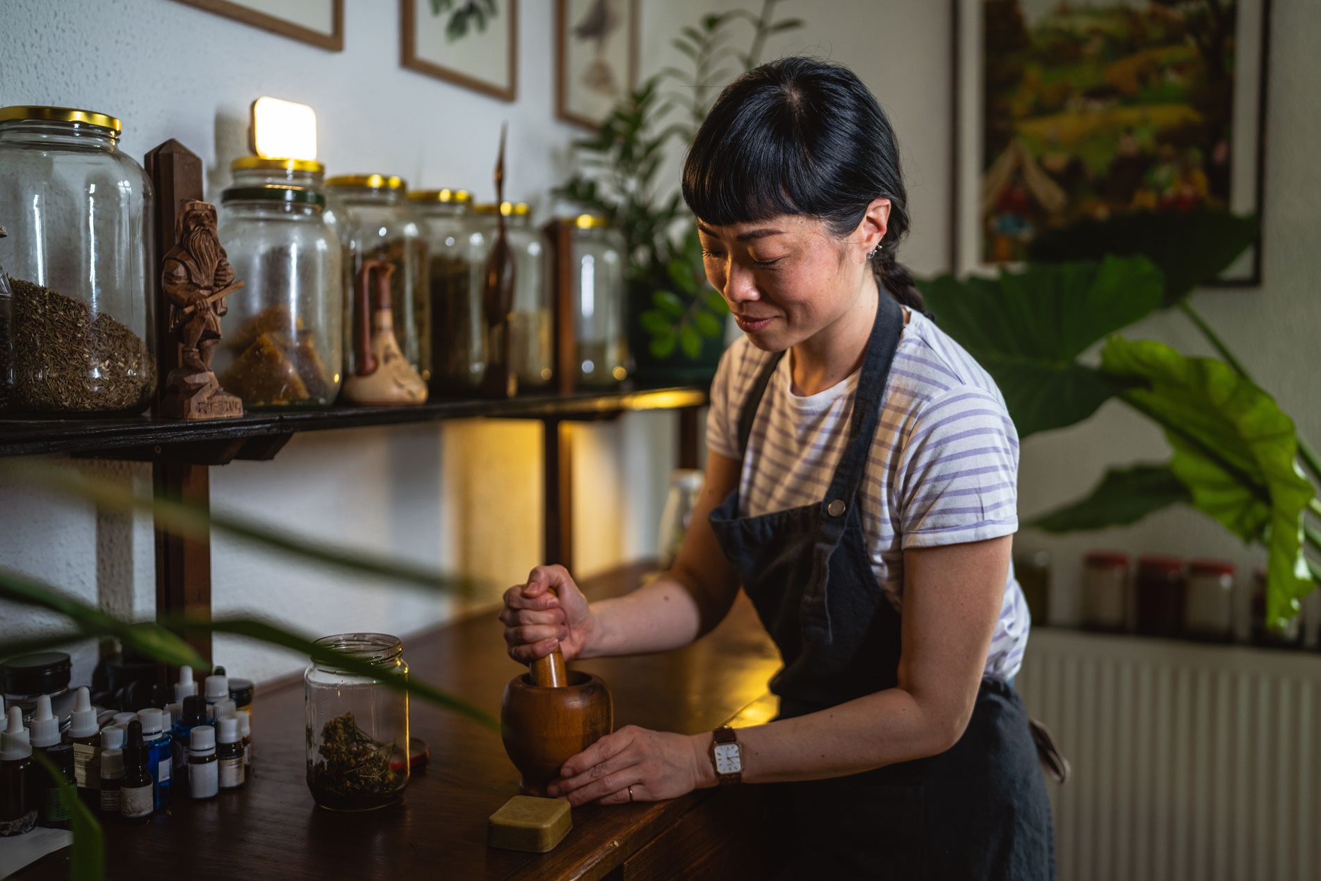 Herbal education in the UK: A reflection of the plants themselves?