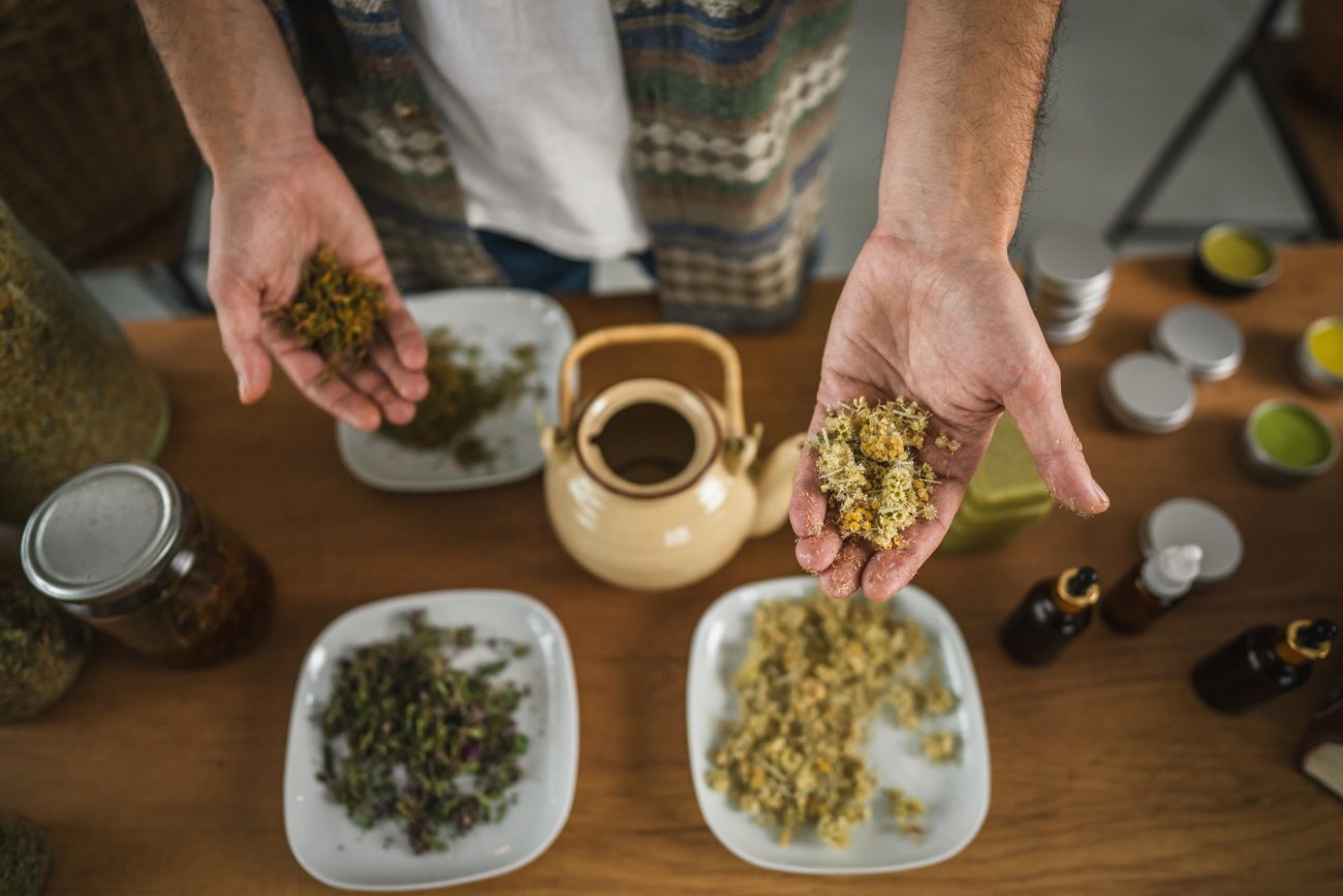 Herbal Education In The UK