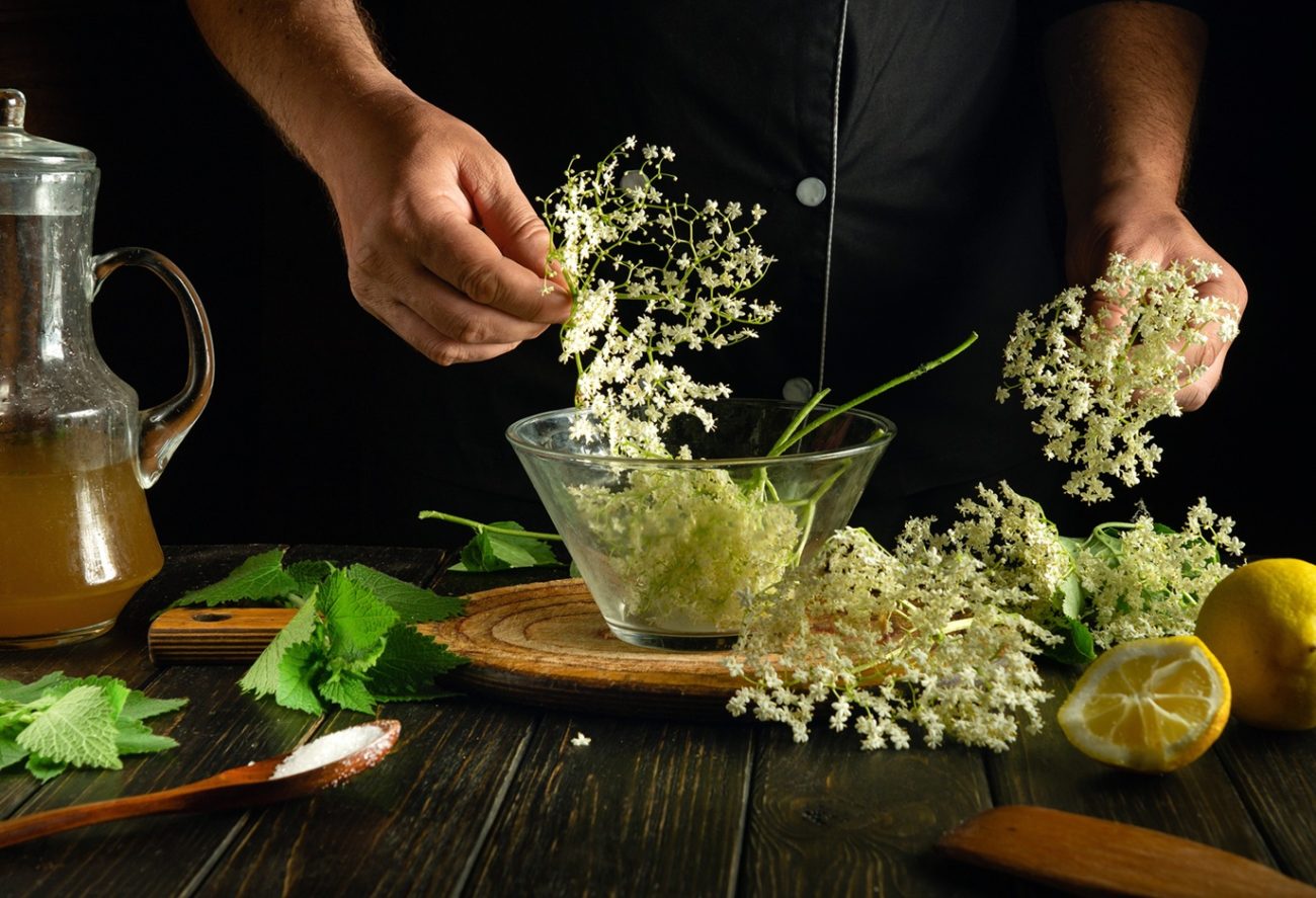 Herbal Foundation Courses In The UK