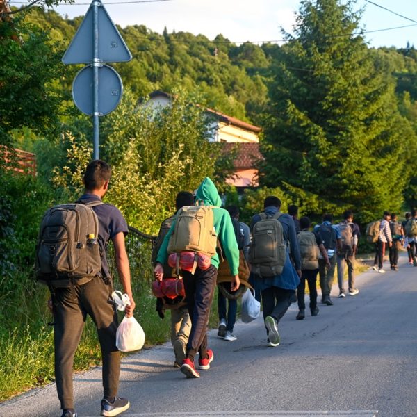 Herbalists Supporting Migrant Communities Lessons From Frontline Practice