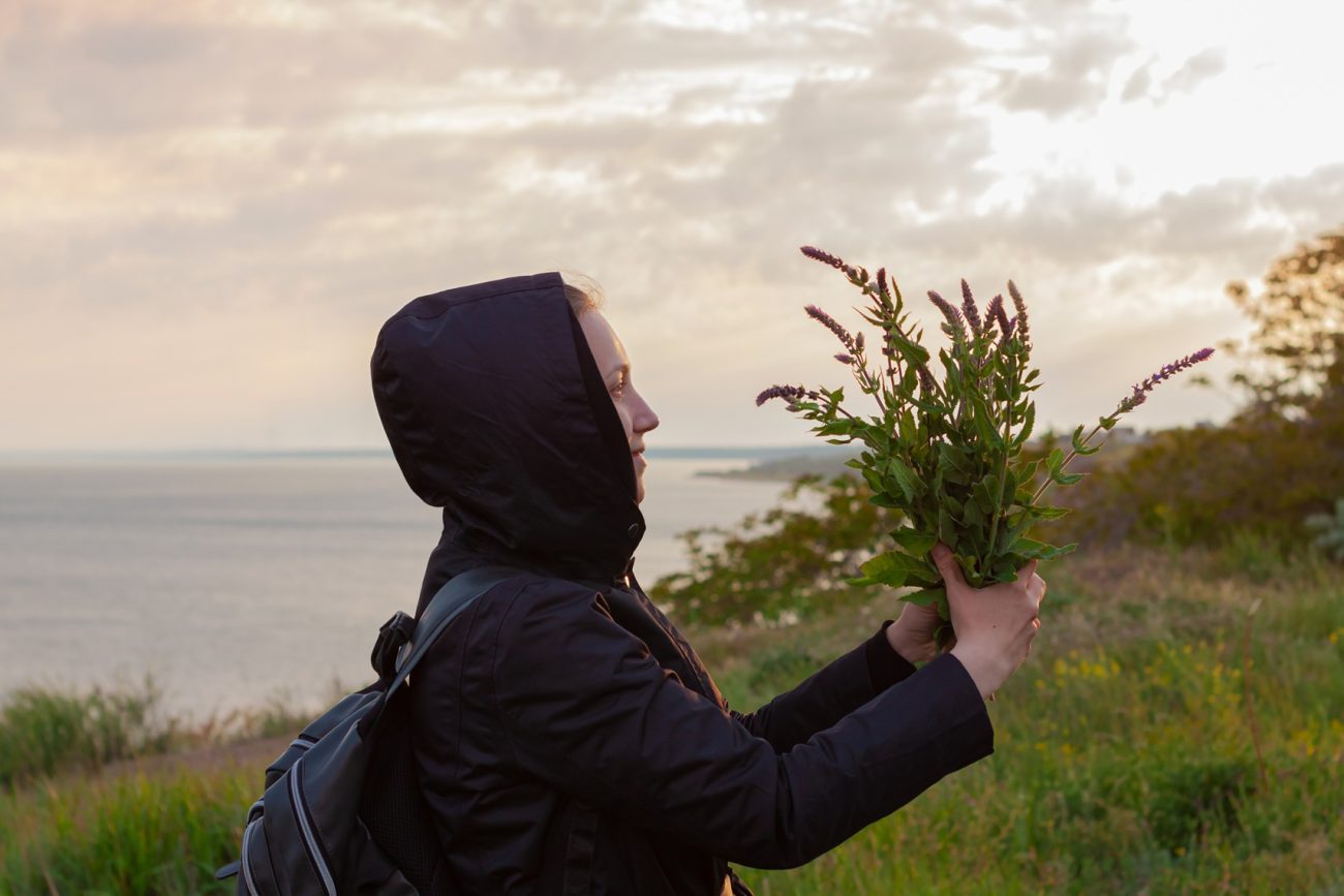 Herbalism In The UK