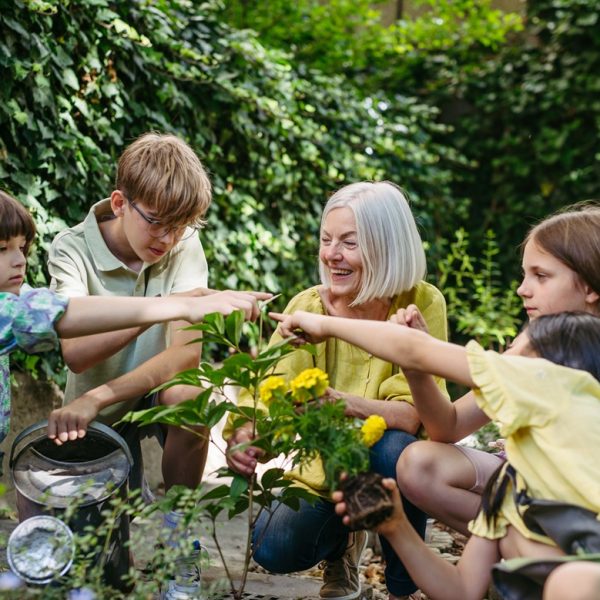 Herbal Education For Children Growing Curiosity Confidence And Connection