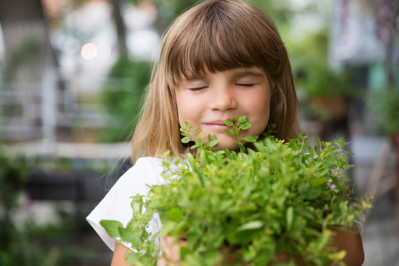Why Herbal Education For Children Matters