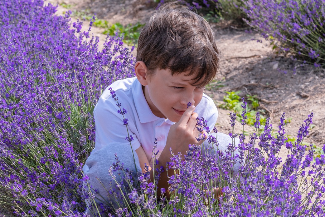 Herbal Education For Children At The Junior Herbalist Club For Everyone