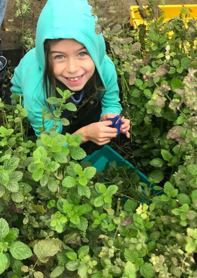 Herbal Education For Children